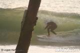 Mussel 2