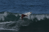 Poks sequence-animation floater entry: Canggu, Bali Photo credit: Tim Hain