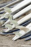 Rip Curl and South Coast Demo at Crystal Pier with Tom Curren. All Photos by John Cocozza