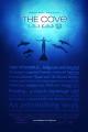 The Cove Movie Puts Pressure on Taiji Fishermen and Dolphins To Be Released