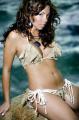 Elizabeth Sullivan the Bikini, Thong, Swimwear Model