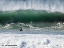 One of the reasons I never paddled out!