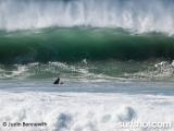One of the reasons I never paddled out!