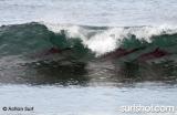 The Original Surfers