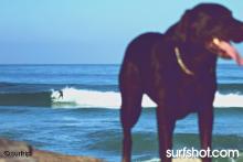 Ponto, April 04 - surfrip.com