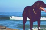 Ponto, April 04 - surfrip.com