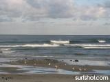 Cardiff Surf Report 