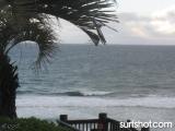 D Street Surf Report 