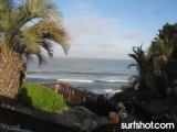 D Street Surf Report 