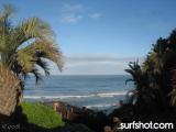 D Street Surf Report 