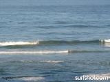 D Street Surf Report 