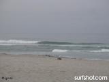 Ponto Surf Report 