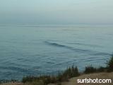 D Street Surf Report 