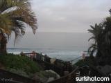 D Street Surf Report 