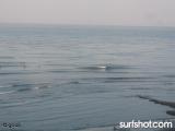 Swamis Surf Report 