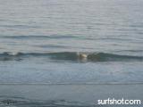 D Street Surf Report 