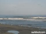 Cardiff Surf Report 