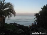 D Street Surf Report 