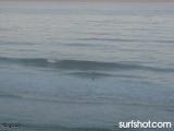 D Street Surf Report 