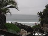 D Street Surf Report 