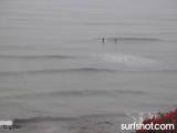 Swamis Surf Report