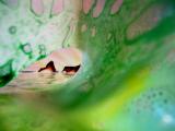 Enviro Surf Series Copyright : Rich Morrison