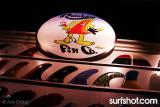 Rainbow Fins
