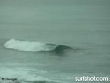 Windansea surf report