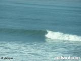 Windansea surf report