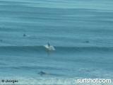 Tourmaline surf report