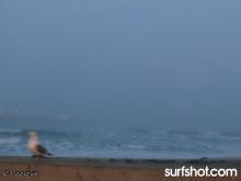 Ocean Beach Surf Report