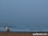 Ocean Beach Surf Report