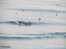 Tourmaline Surf Report