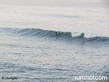 Bird Rock Surf Report
