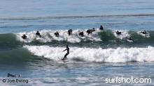 Super Sunday at the Point!  Photos by surfphotographer Joe Ewing