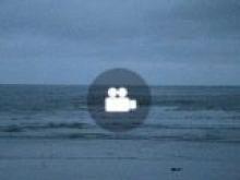 Tourmaline Surf Report