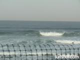 Scripps Pier Surf Report
