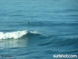 Windansea surf report