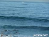 Windansea surf report