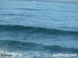 Windansea surf report