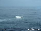 Sunset Cliffs surf report