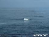 Sunset Cliffs surf report