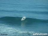 Windansea surf report