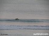 Tourmaline Surf Report