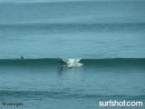 Tourmaline surf report