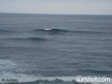 Windansea Surf Report