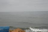 Sunset Cliffs Surf Report