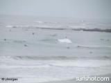 Tourmaline Surf Report