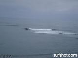 Bird Rock Surf Report