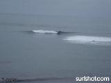 Bird Rock Surf Report